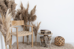NARSI-studio-7